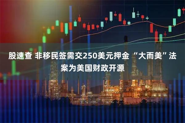 股速查 非移民签需交250美元押金 “大而美”法案为美国财政开源